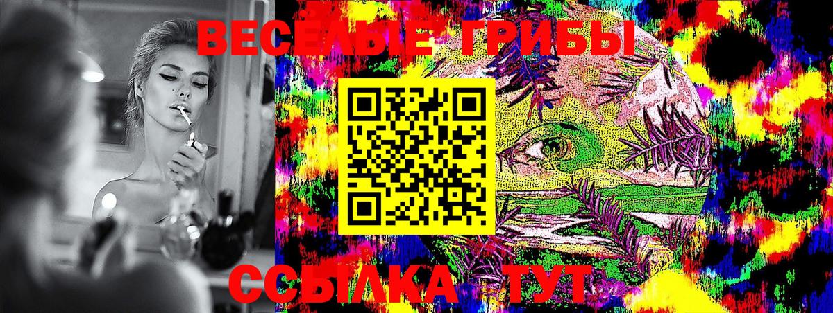 Псилоцибиновые грибы Psilocybe  Псилоцибиновые грибы Cubensis  Вход с VPN  Ирбит 